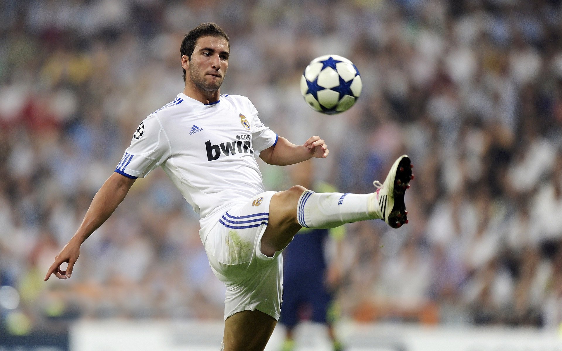  真实电竞再发文评scout事件 